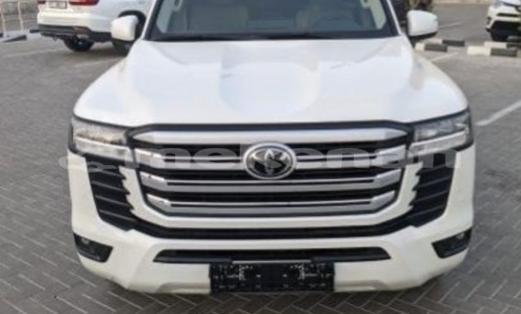 Buy Used Toyota Land Cruiser White Car in Armavir in Armavir
