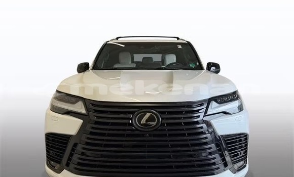 Buy Used Lexus LX White Car in Armavir in Armavir