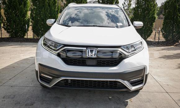 Buy Used Honda CR–V White Car in Armavir in Armavir Buy Used Honda CR–V White Car in Armavir in Armavir