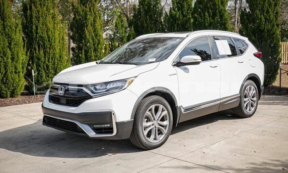 Buy Used Honda CR–V White Car in Armavir in Armavir Buy Used Honda CR–V White Car in Armavir in Armavir