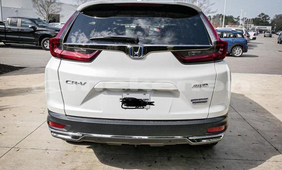 Buy Used Honda CR–V White Car in Armavir in Armavir Buy Used Honda CR–V White Car in Armavir in Armavir
