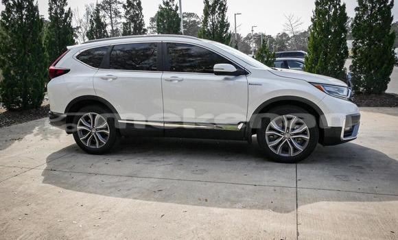 Buy Used Honda CR–V White Car in Armavir in Armavir Buy Used Honda CR–V White Car in Armavir in Armavir