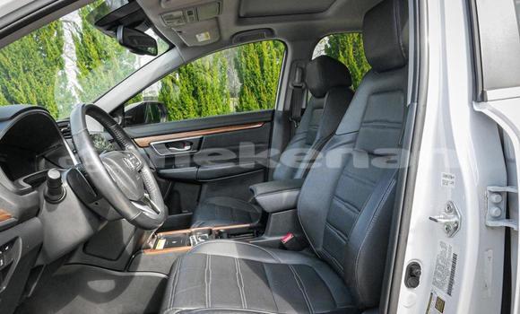 Buy Used Honda CR–V White Car in Armavir in Armavir Buy Used Honda CR–V White Car in Armavir in Armavir