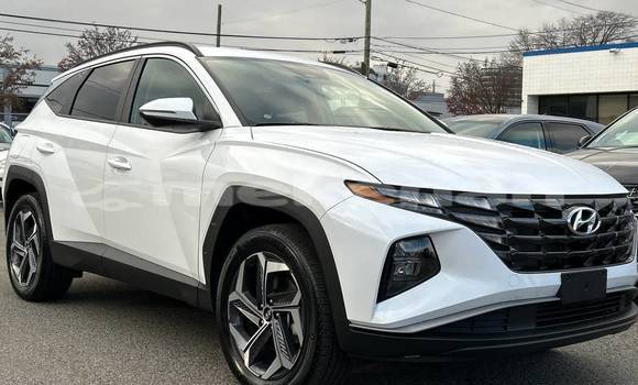 Buy Used Hyundai Tucson White Car in Armavir in Armavir