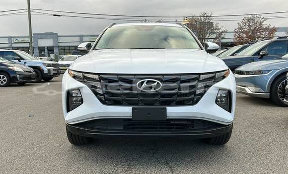 Buy Used Hyundai Tucson White Car in Armavir in Armavir Buy Used Hyundai Tucson White Car in Armavir in Armavir