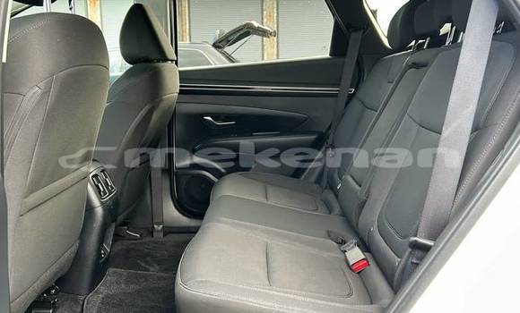 Buy Used Hyundai Tucson White Car in Armavir in Armavir Buy Used Hyundai Tucson White Car in Armavir in Armavir