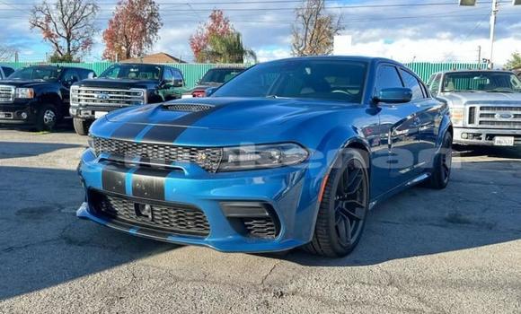 Buy Used Dodge Charger Blue Car in Tashir in Lori