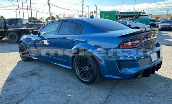 Buy Used Dodge Charger Blue Car in Tashir in Lori Buy Used Dodge Charger Blue Car in Tashir in Lori