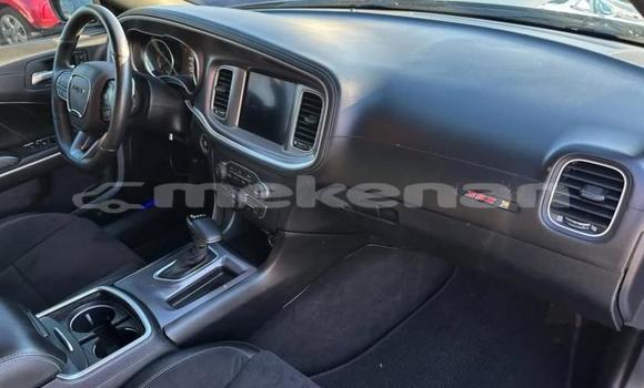 Buy Used Dodge Charger Blue Car in Tashir in Lori Buy Used Dodge Charger Blue Car in Tashir in Lori