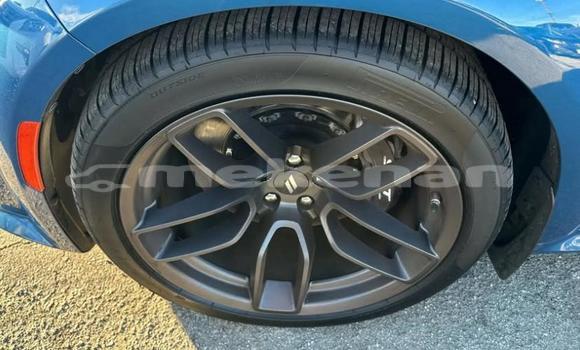 Buy Used Dodge Charger Blue Car in Tashir in Lori Buy Used Dodge Charger Blue Car in Tashir in Lori