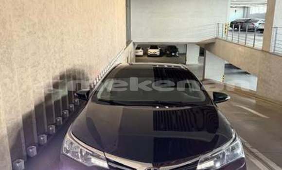 Buy Used Toyota Alphard Other Car in Armavir in Armavir