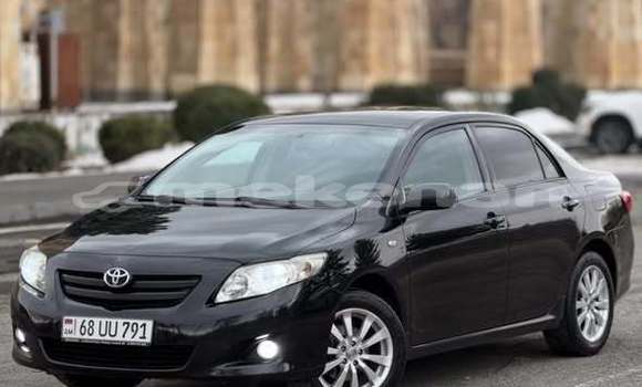 Buy Used Acura CSX Other Car in Armavir in Armavir