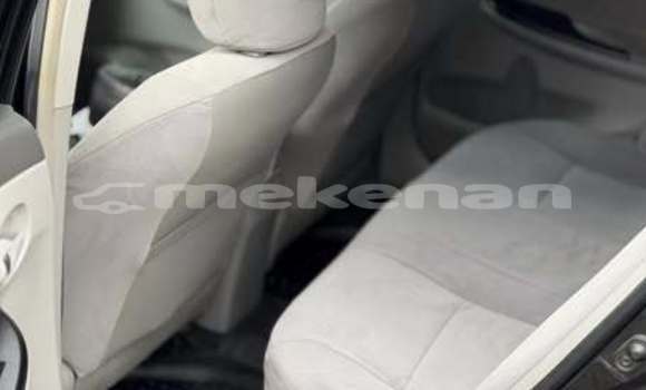 Buy Used Acura CSX Other Car in Armavir in Armavir Buy Used Acura CSX Other Car in Armavir in Armavir