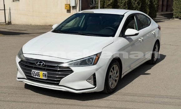 Buy Used Hyundai Elantra White Car in Armavir in Armavir Buy Used Hyundai Elantra White Car in Armavir in Armavir