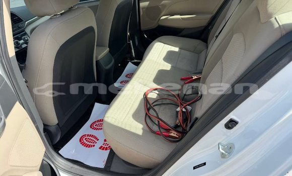 Buy Used Hyundai Elantra White Car in Armavir in Armavir Buy Used Hyundai Elantra White Car in Armavir in Armavir