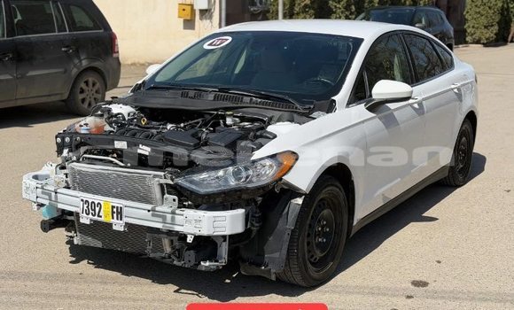 Buy Used Ford Fusion White Car in Angeghakot in Syunik Buy Used Ford Fusion White Car in Angeghakot in Syunik