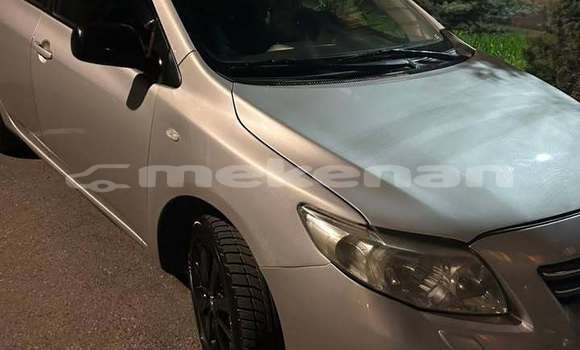 Buy Used Toyota Corolla Other Car in Ararat in Ararat