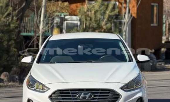 Buy Used Hyundai Sonata Other Car in Armavir in Armavir