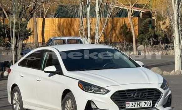 Buy Used Hyundai Sonata Other Car in Armavir in Armavir Buy Used Hyundai Sonata Other Car in Armavir in Armavir