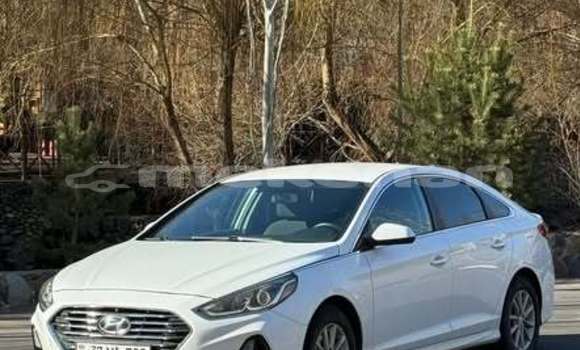 Buy Used Hyundai Sonata Other Car in Armavir in Armavir Buy Used Hyundai Sonata Other Car in Armavir in Armavir