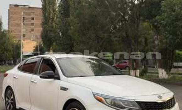 Buy Used Kia Optima Other Car in Armavir in Armavir Buy Used Kia Optima Other Car in Armavir in Armavir