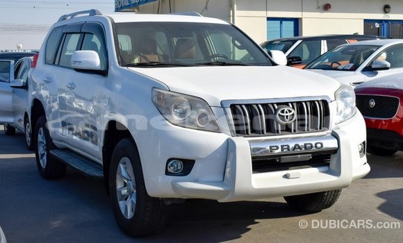 Buy Import Toyota Prado White Car in Import - Dubai in Aragatsotn Buy Import Toyota Prado White Car in Import - Dubai in Aragatsotn