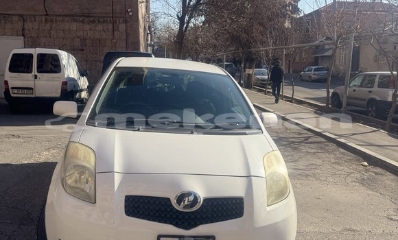 Buy Used Toyota Vitz White Car in Yerevan in Yerevan