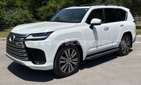 Buy Used Lexus LX White Car in Artashat in Ararat