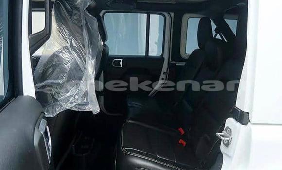 Buy Used Jeep Wrangler White Car in Armavir in Armavir Buy Used Jeep Wrangler White Car in Armavir in Armavir