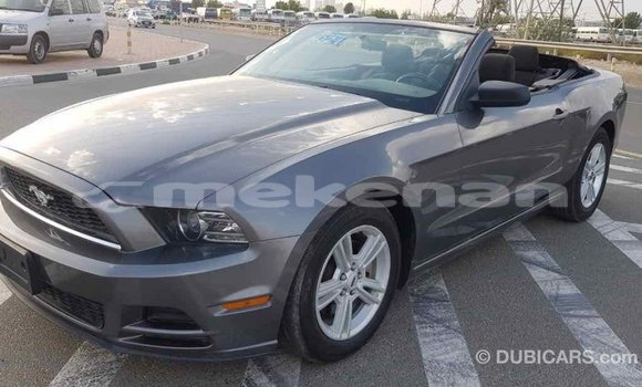 Buy Import Ford Mustang Other Car in Import - Dubai in Aragatsotn Buy Import Ford Mustang Other Car in Import - Dubai in Aragatsotn