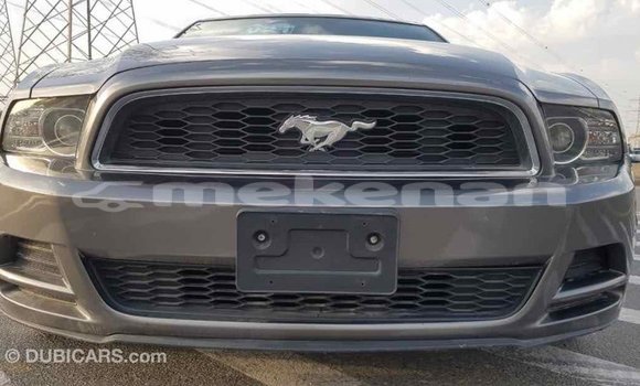 Buy Import Ford Mustang Other Car in Import - Dubai in Aragatsotn Buy Import Ford Mustang Other Car in Import - Dubai in Aragatsotn