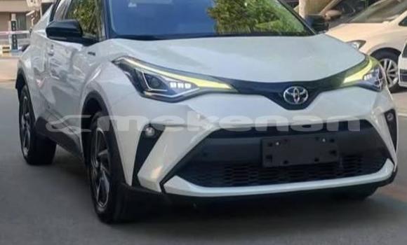 Buy Used Toyota C-HR White Car in Armavir in Armavir Buy Used Toyota C-HR White Car in Armavir in Armavir