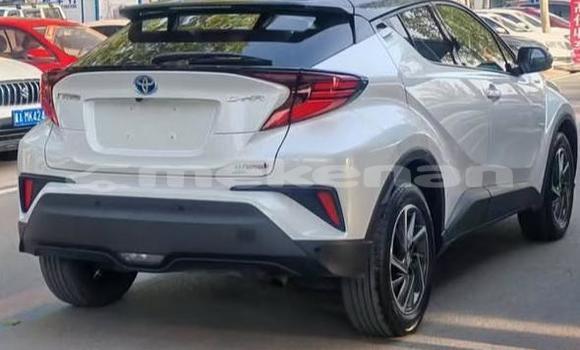 Buy Used Toyota C-HR White Car in Armavir in Armavir Buy Used Toyota C-HR White Car in Armavir in Armavir