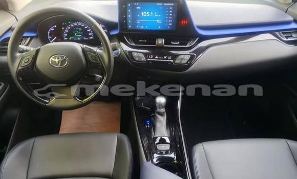 Buy Used Toyota C-HR White Car in Armavir in Armavir Buy Used Toyota C-HR White Car in Armavir in Armavir