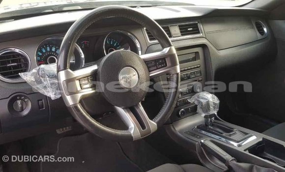 Buy Import Ford Mustang Other Car in Import - Dubai in Aragatsotn Buy Import Ford Mustang Other Car in Import - Dubai in Aragatsotn