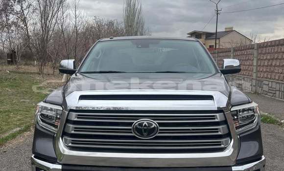 Buy Used Toyota Tundra Black Car in Angeghakot in Syunik Buy Used Toyota Tundra Black Car in Angeghakot in Syunik