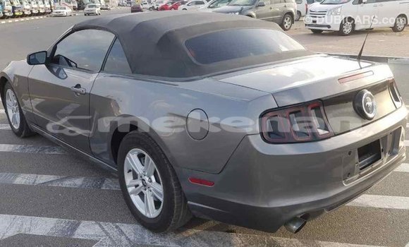 Buy Import Ford Mustang Other Car in Import - Dubai in Aragatsotn Buy Import Ford Mustang Other Car in Import - Dubai in Aragatsotn