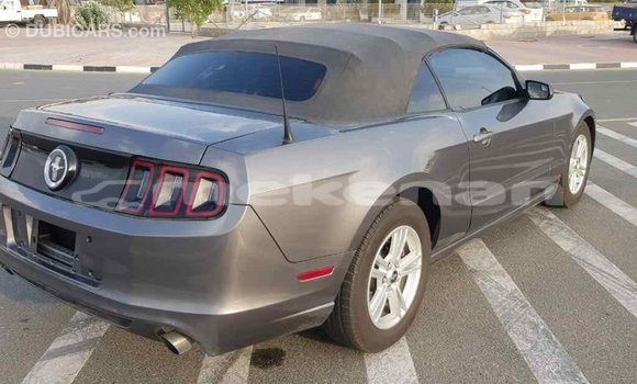 Buy Import Ford Mustang Other Car in Import - Dubai in Aragatsotn Buy Import Ford Mustang Other Car in Import - Dubai in Aragatsotn