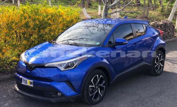 Buy Used Toyota C-HR Blue Car in Angeghakot in Syunik Buy Used Toyota C-HR Blue Car in Angeghakot in Syunik