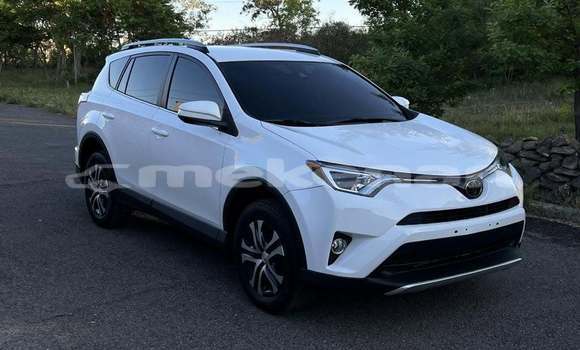 Buy Used Toyota RAV4 White Car in Alaverdi in Lori Buy Used Toyota RAV4 White Car in Alaverdi in Lori