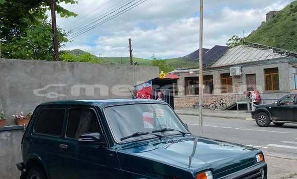 Buy Used VAZ (Lada) 1111 Oka Green Car in Angeghakot in Syunik