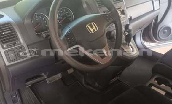 Buy Used Toyota RAV4 Other Car in Armavir in Armavir Buy Used Toyota RAV4 Other Car in Armavir in Armavir