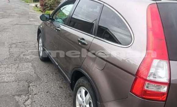 Buy Used Toyota RAV4 Other Car in Armavir in Armavir Buy Used Toyota RAV4 Other Car in Armavir in Armavir