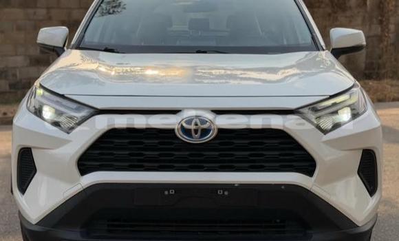 Buy Used Toyota RAV4 White Car in Armavir in Armavir