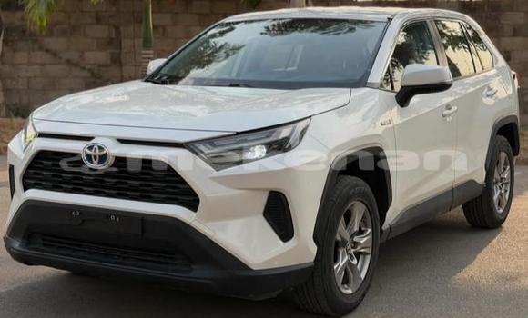 Buy Used Toyota RAV4 White Car in Armavir in Armavir Buy Used Toyota RAV4 White Car in Armavir in Armavir