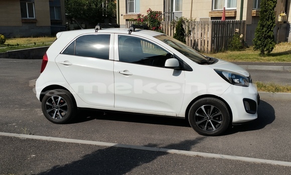 Buy Used Kia Picanto White Car in Yerevan in Yerevan Buy Used Kia Picanto White Car in Yerevan in Yerevan