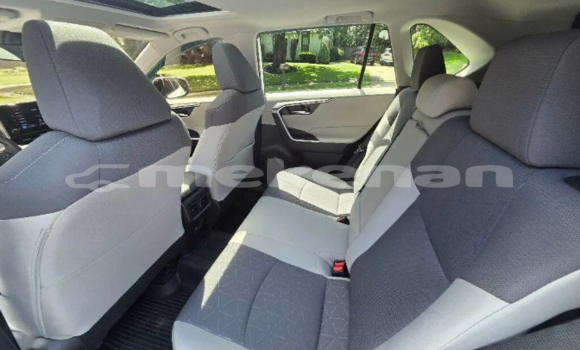 Buy Used Toyota RAV4 White Car in Akhtala in Lori Buy Used Toyota RAV4 White Car in Akhtala in Lori