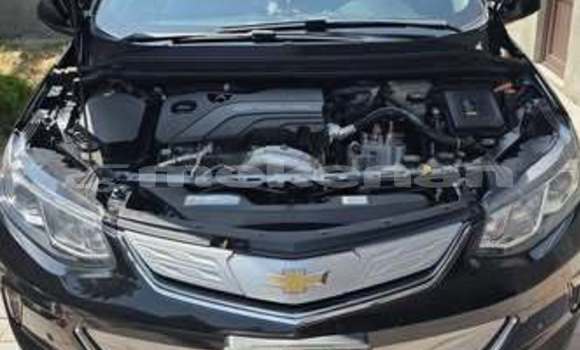 Buy Used Shanghai Maple C32 Other Car in Armavir in Armavir