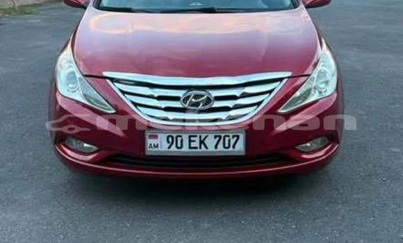 Buy Used Hyundai Sonata Other Car in Armavir in Armavir