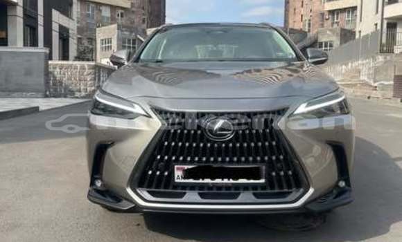 Buy Used Lexus NX Other Car in Armavir in Armavir